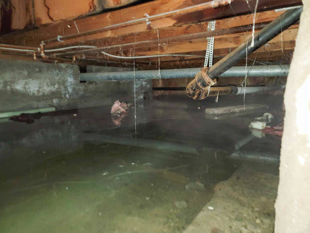 Best Fire Damage Restoration  in Eldon, MO
