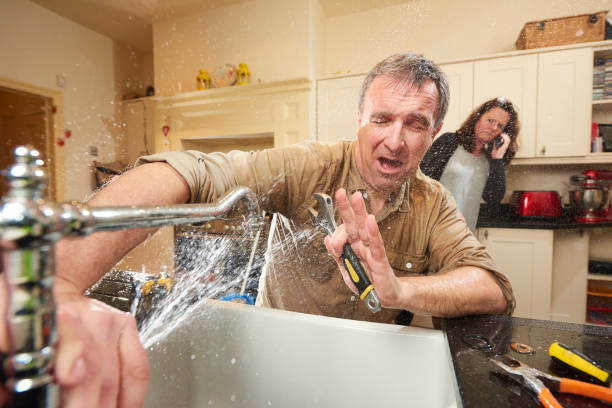 Best Mold removal after water damage  in Eldon, MO